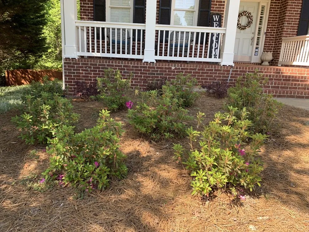 Top-rated landscape design experts serving Snellville, GA - Custom Lawn Care