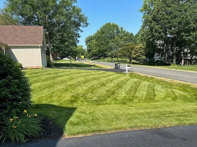 Reliable yard maintenance in Spotsylvania, VA - Custom Lawn Care solutions