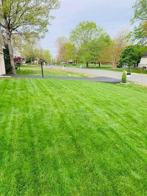 Trusted lawn care service near you in Spotsylvania, VA by Custom Lawn Care solutions