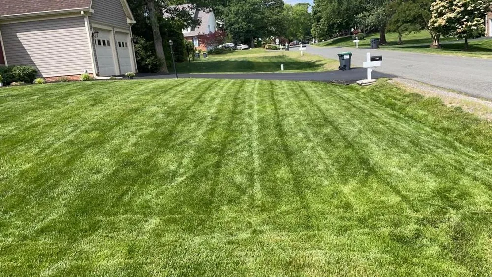 Reliable yard cleanup service for outdoor upgrades in Spotsylvania, VA by Custom Lawn Care solutions