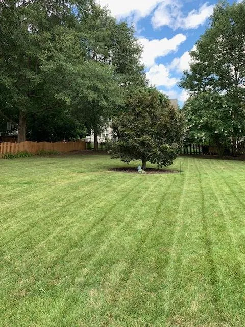 Local lawn care service experts serving Spotsylvania, VA - Custom Lawn Care solutions