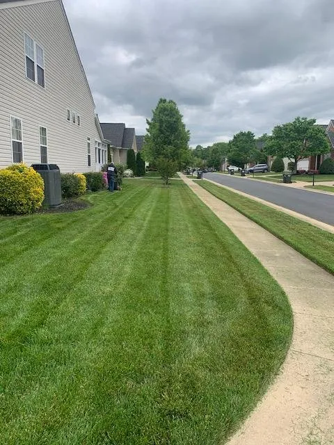 Reliable yard maintenance for beautiful yards across Spotsylvania, VA - Custom Lawn Care solutions