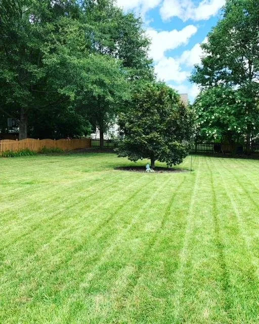 Top-rated outdoor landscaping experts serving Spotsylvania, VA - Custom Lawn Care solutions