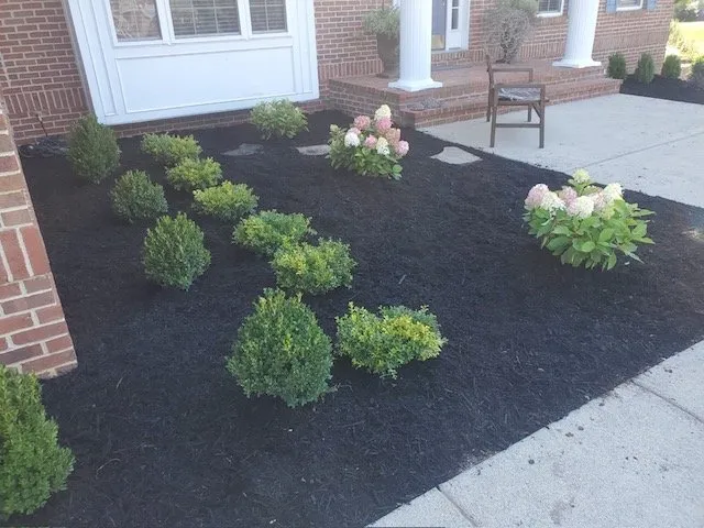 Custom lawn care service for residential properties in Spotsylvania, VA by Custom Lawn Care solutions
