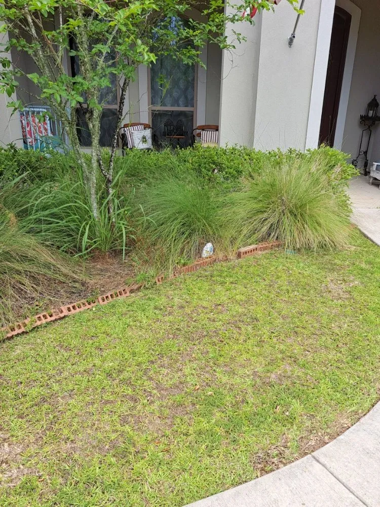 Expert yard maintenance for residential properties across Mandeville, LA - Custom Lawncare ByJohn
