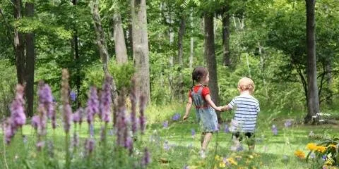 Professional landscape installation for residential properties in North Ridgeville, OH by Custom Lawns