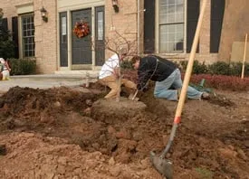 Professional landscape installation experts serving Fargo, ND - Custom Lawns Of Fargo