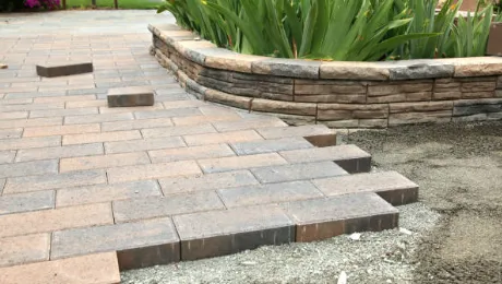 Professional outdoor landscaping in Phoenix, AZ by Custom Lawns