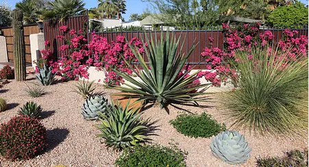 Trusted landscape installation experts serving Phoenix, AZ - Custom Lawns