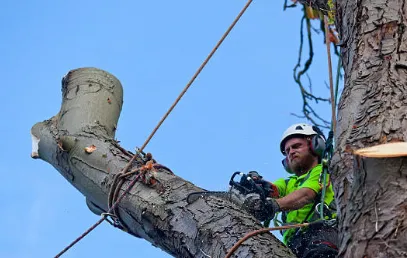 Professional yard cleanup service with custom design across Phoenix, AZ - Custom Lawns