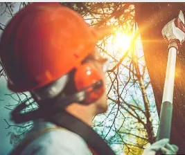 Professional yard maintenance experts serving Phoenix, AZ - Custom Lawns