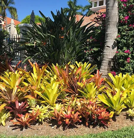 Expert landscaping services in Naples, FL - Custom Outdoor Creations of SWFL