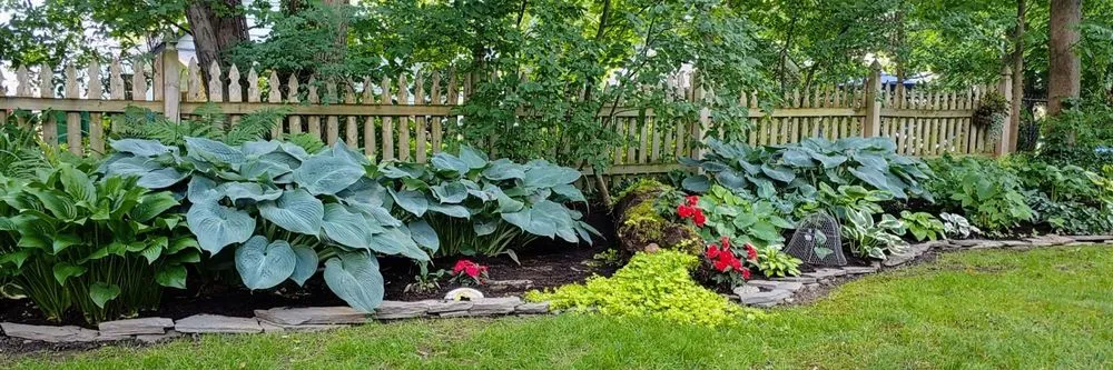 Top-rated landscape installation in Hamburg, NY by Custom Outdoor Solutions