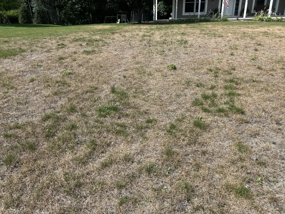 Expert landscaping services experts serving Flint, MI - Custom Personalized Lawn Care