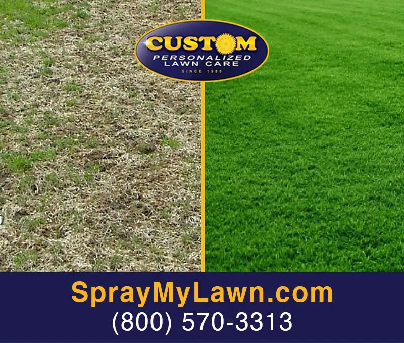 Top-rated lawn mowing service experts serving Flint, MI - Custom Personalized Lawn Care