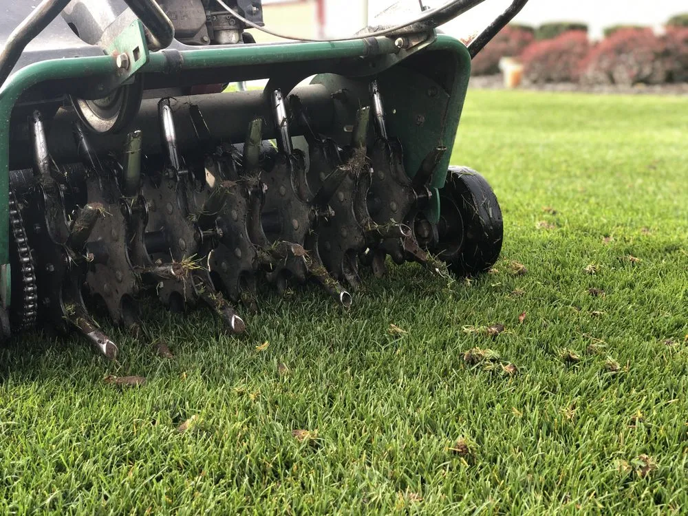 Expert outdoor landscaping in Flint, MI by Custom Personalized Lawn Care