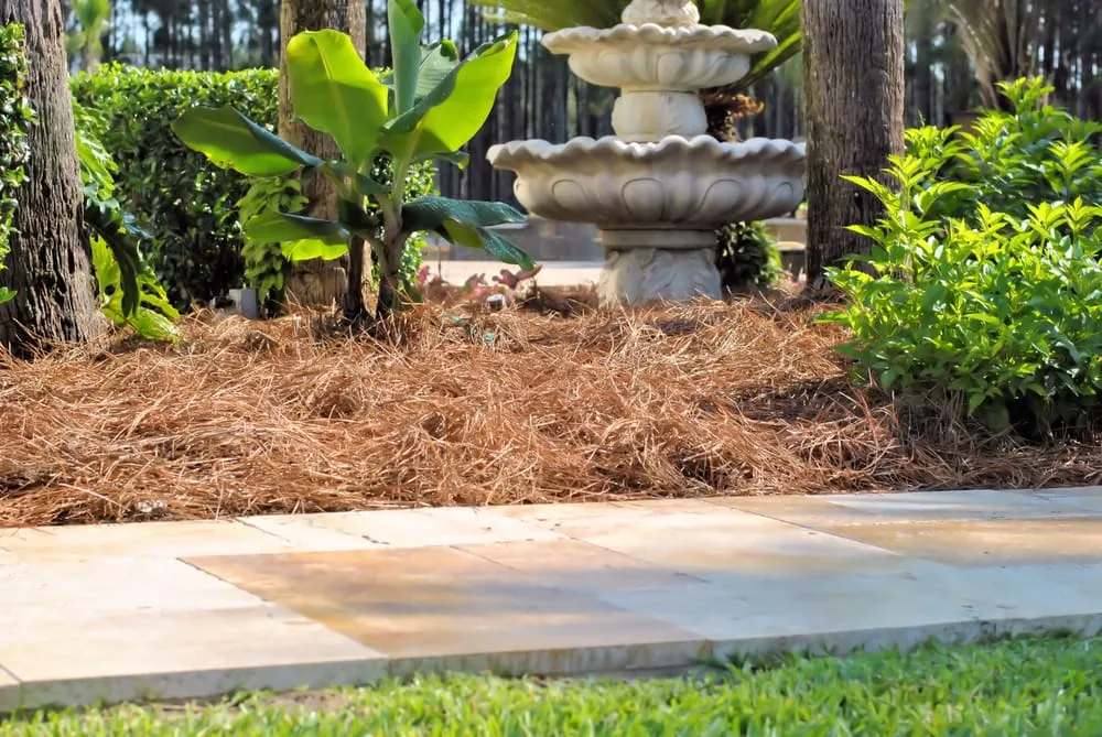 Affordable landscaping services for beautiful yards across High Springs, FL - Custom Pine Straw