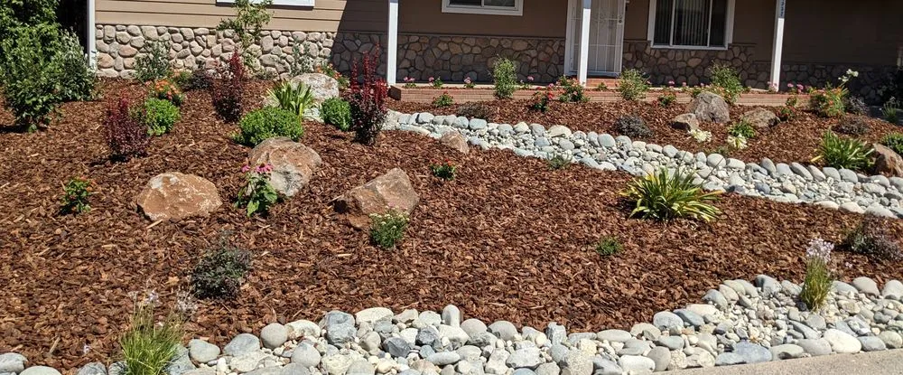 Expert yard cleanup service for beautiful yards in Folsom, CA by Custom Plantings