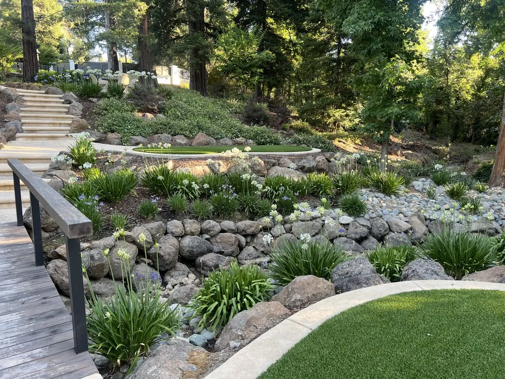 Affordable yard cleanup service in Folsom, CA by Custom Plantings