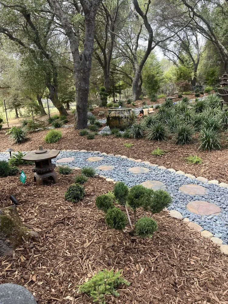 Trusted yard cleanup service in Folsom, CA by Custom Plantings