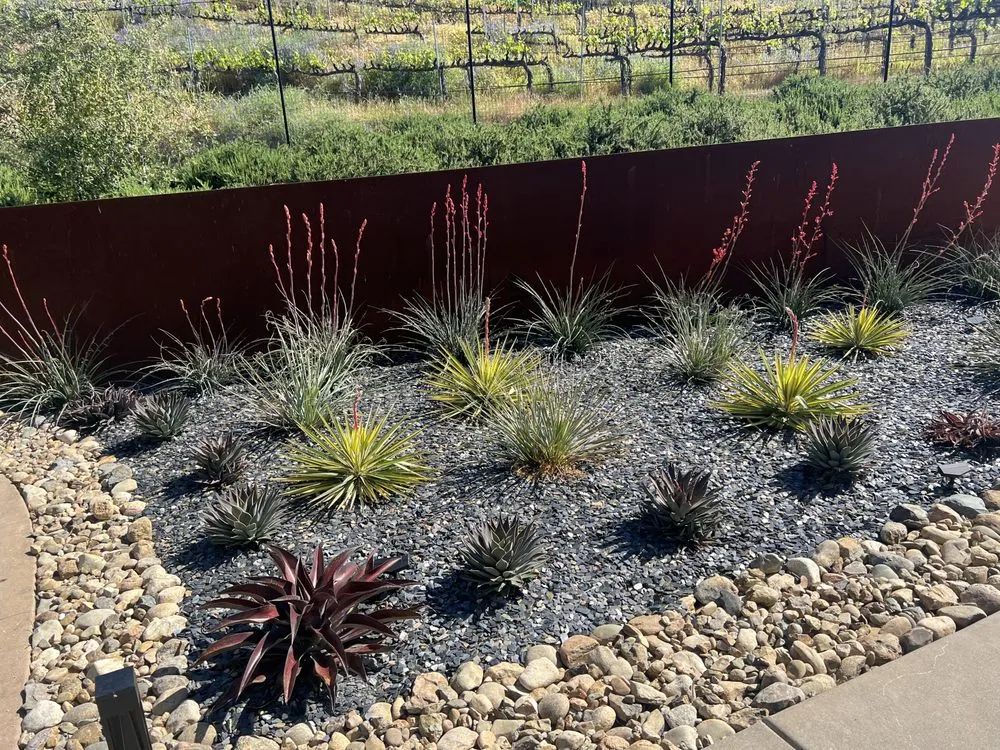 Custom yard maintenance experts serving Folsom, CA - Custom Plantings