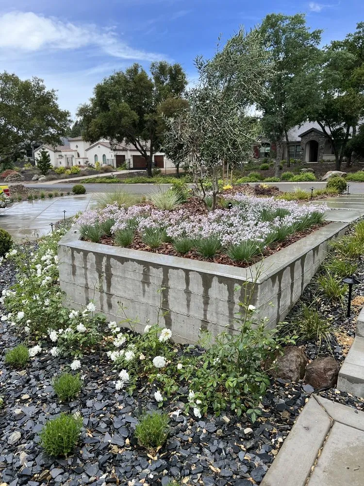 Top-rated landscape installation with custom design across Folsom, CA - Custom Plantings