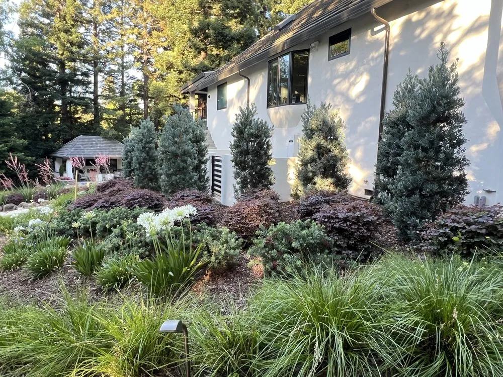 Custom lawn mowing service for residential properties in Folsom, CA by Custom Plantings