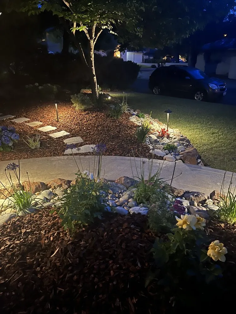 Reliable yard cleanup service in Folsom, CA - Custom Plantings