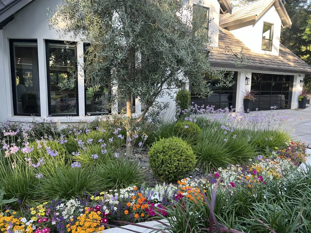 Expert lawn mowing service in Folsom, CA - Custom Plantings