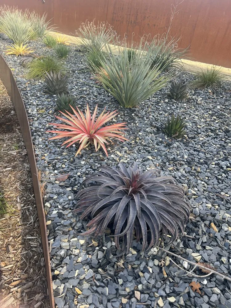 Top-rated outdoor landscaping in Folsom, CA by Custom Plantings