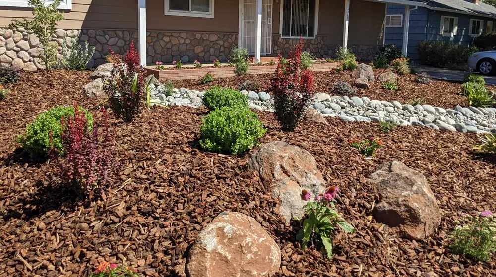 Reliable landscape design experts serving Folsom, CA - Custom Plantings