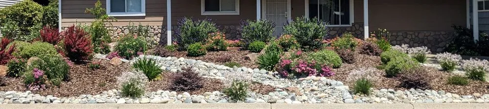 Trusted lawn mowing service with custom design across Folsom, CA - Custom Plantings