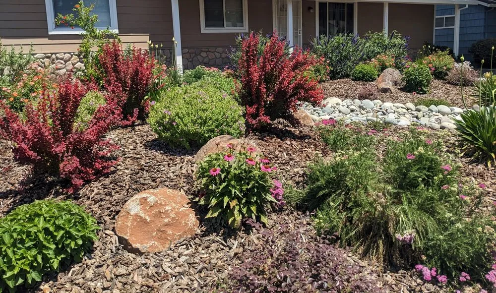 Reliable landscape installation for year-round maintenance across Folsom, CA - Custom Plantings
