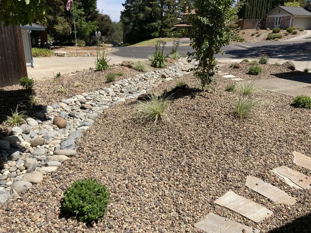Affordable yard maintenance in Folsom, CA - Custom Plantings