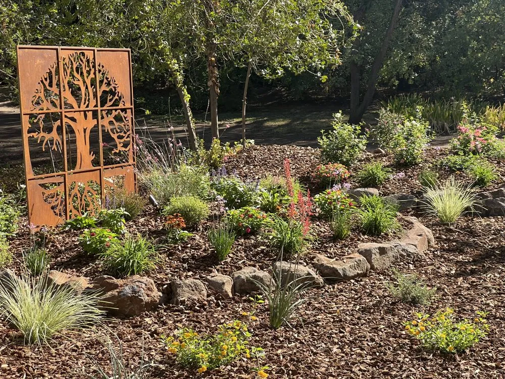 Professional lawn care service in Folsom, CA - Custom Plantings