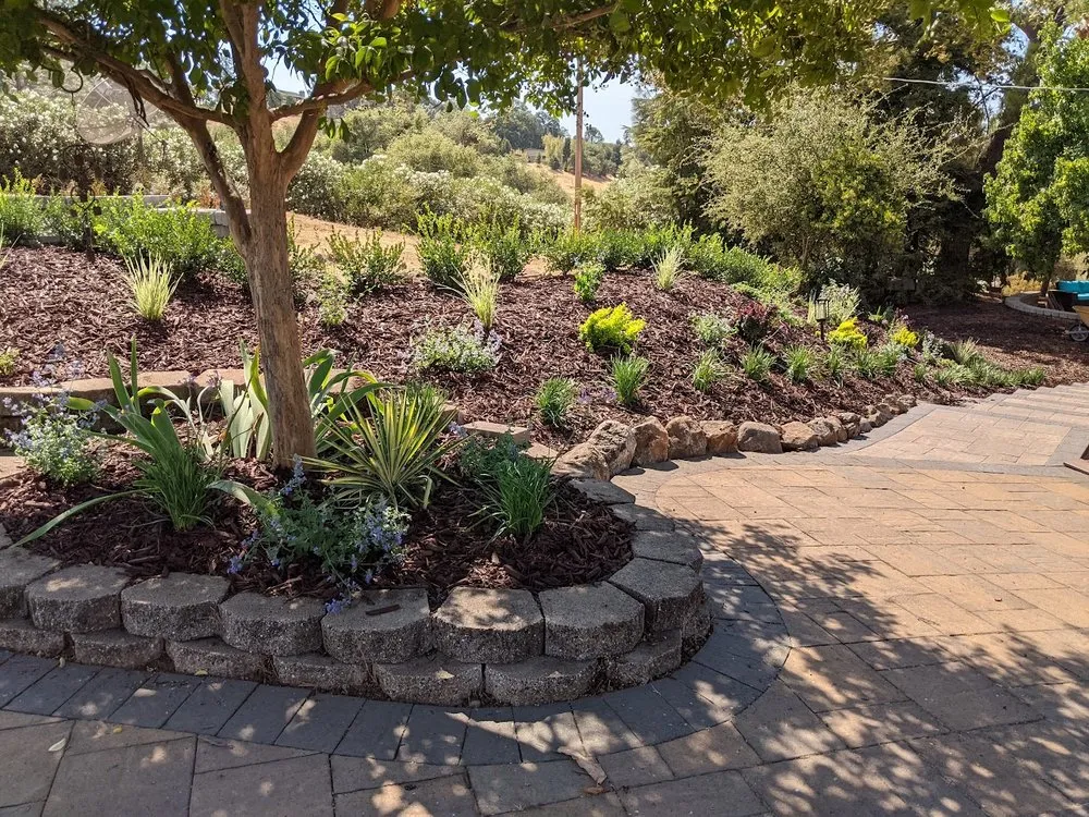 Custom outdoor landscaping experts serving Folsom, CA - Custom Plantings