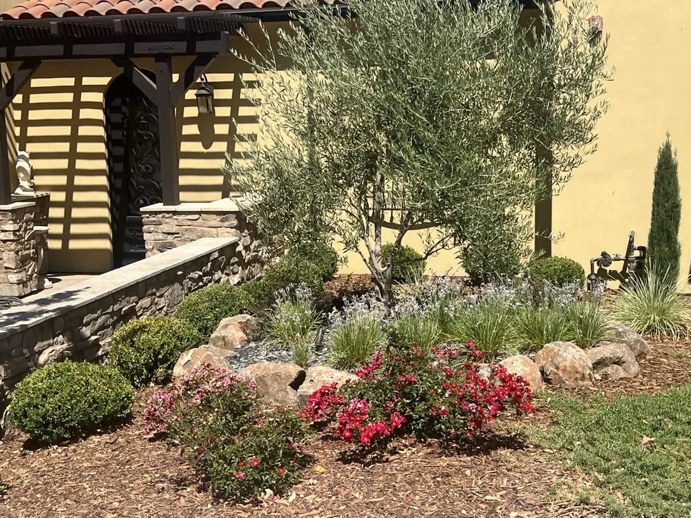 Professional landscape installation for year-round maintenance in Folsom, CA by Custom Plantings