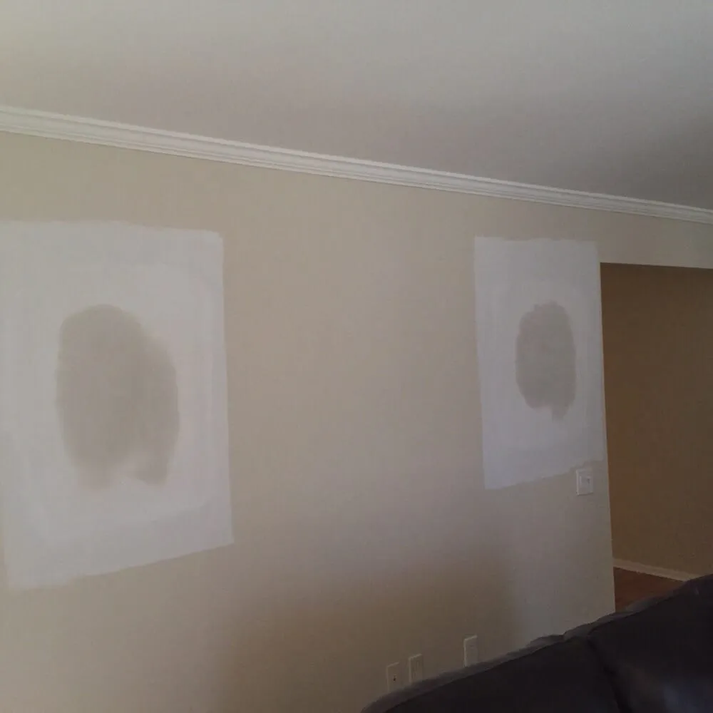 Top-rated garden landscaping experts serving Shelby Township, MI - Custom Property Services