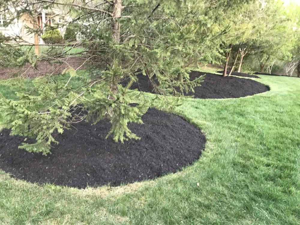 Reliable lawn mowing service for year-round maintenance in Wrentham, MA by Custom Scapes Landscape Services Complete Property Maintenance