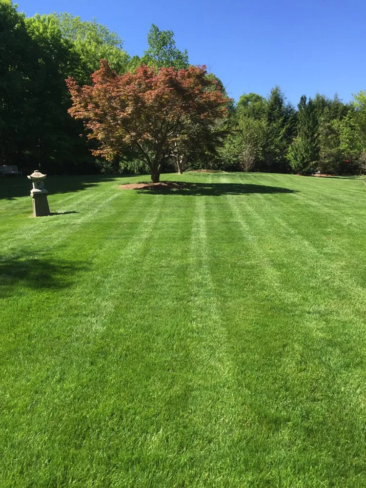 Expert yard maintenance in Wrentham, MA - Custom Scapes Landscape Services Complete Property Maintenance
