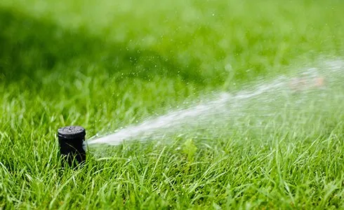 Custom landscaping services in Sheridan, WY - Custom Sprinkler and Landscaping