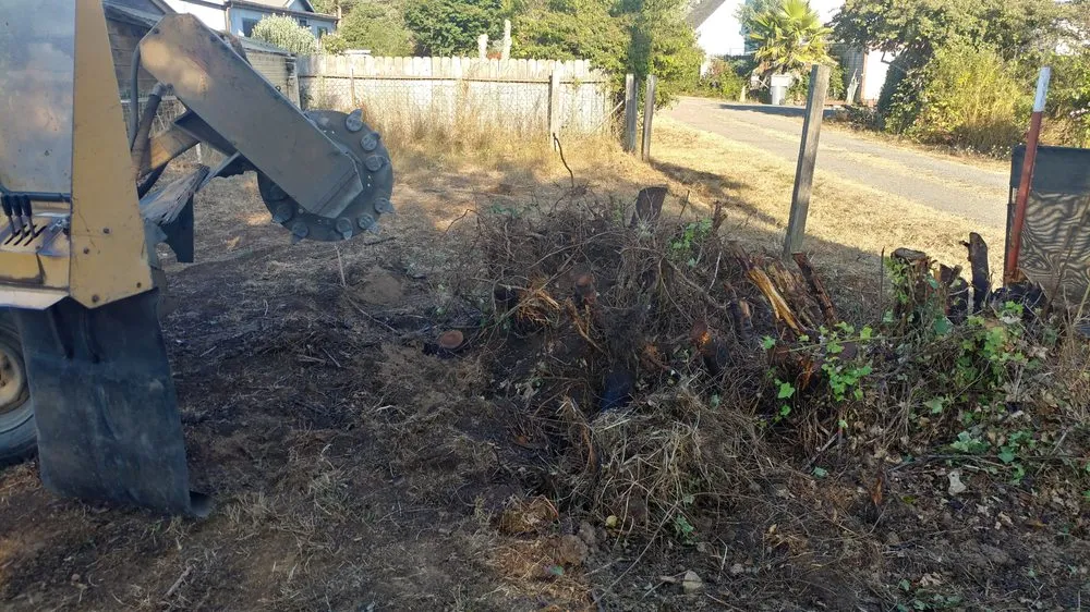 Trusted lawn mowing service in Eureka, CA by Custom Stump Grinders