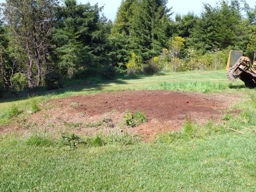 Trusted landscape design in Eureka, CA - Custom Stump Grinders