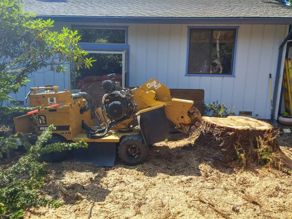 Professional lawn mowing service experts serving Eureka, CA - Custom Stump Grinders