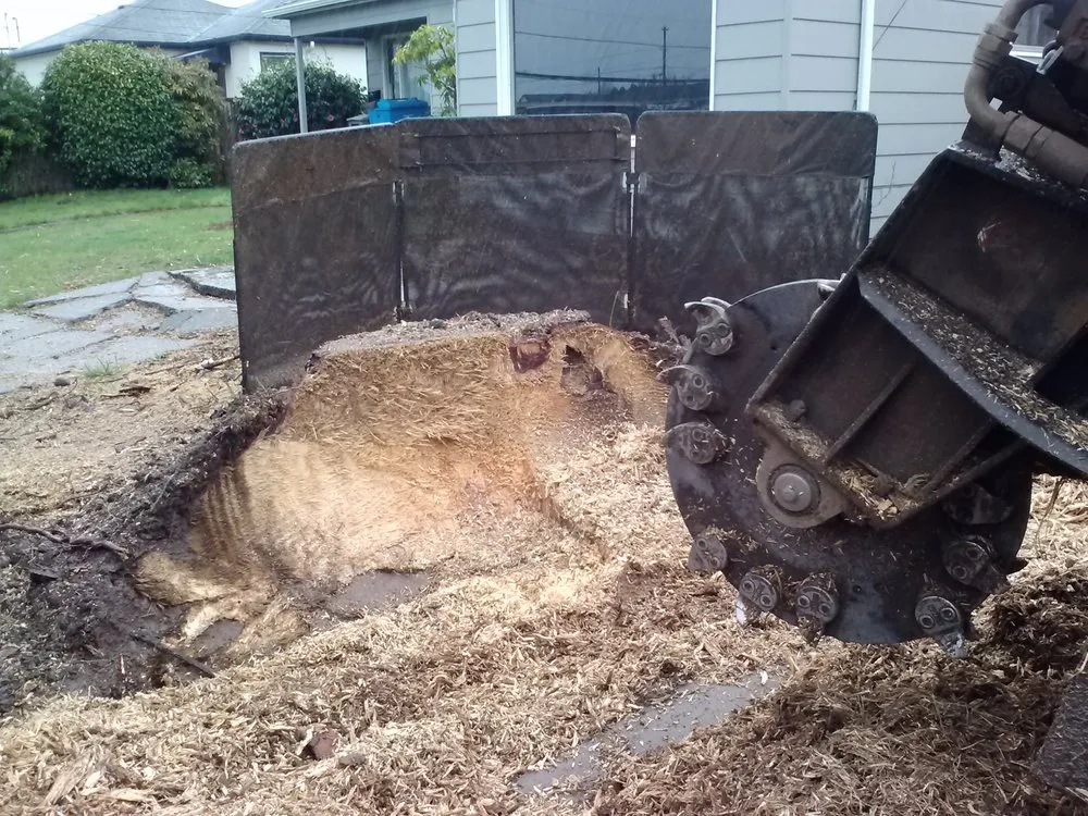 Top-rated yard cleanup service in Eureka, CA by Custom Stump Grinders