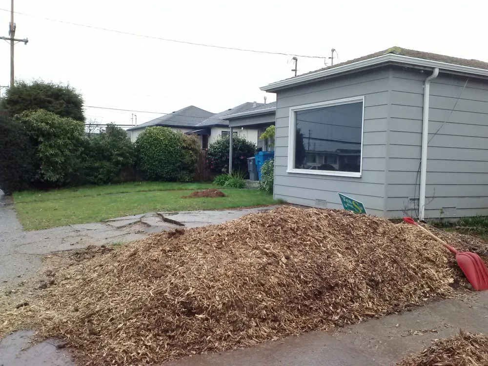 Reliable yard maintenance in Eureka, CA - Custom Stump Grinders