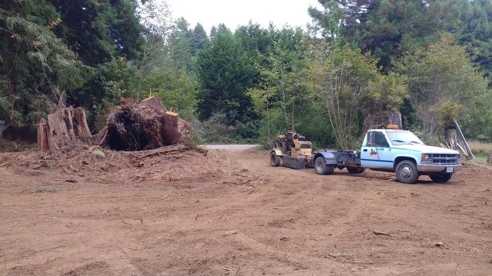 Custom landscape design in Eureka, CA by Custom Stump Grinders