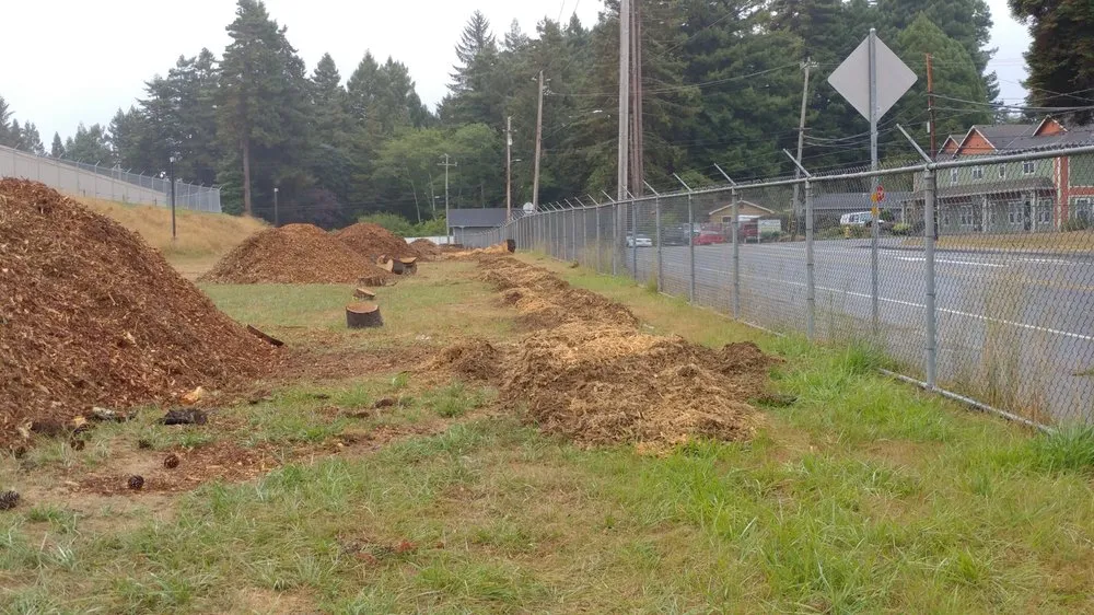 Trusted landscape design for year-round maintenance across Eureka, CA - Custom Stump Grinders