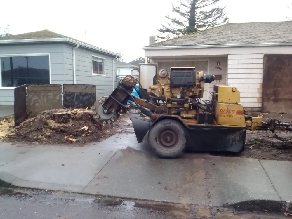 Professional residential landscaping in Eureka, CA by Custom Stump Grinders