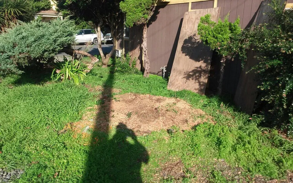Trusted garden landscaping in Eureka, CA - Custom Stump Grinders